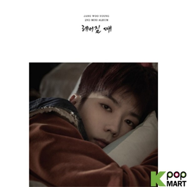 Jang Woo Young (2PM) Mini Album Vol. 2
